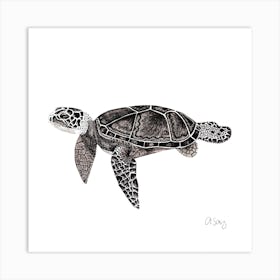 Black And White Turtle. 1 Art Print