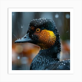 Duck In The Rain 1 Art Print