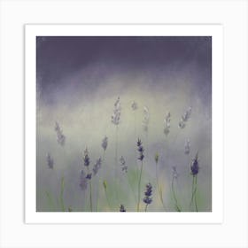 Lavender Field Art Print