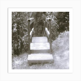 Escalier2 Art Print