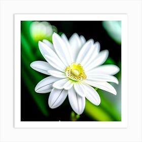 White flower fresh  Art Print