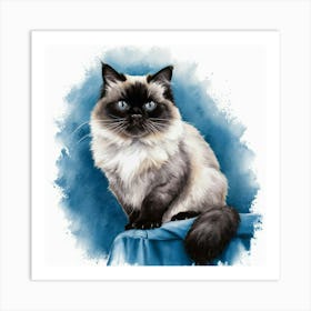 Siamese Cat 1 Art Print