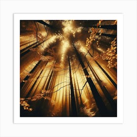 Rays Of Light In The Forest 2 Art Print