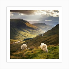 Sheep In The Scottish Highlands Art Print