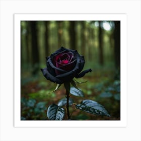 Black Rose In The Forest Art Print