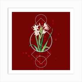 Vintage Gladiolus Saccatus Botanical with Geometric Line Motif and Dot Pattern n.0069 Art Print