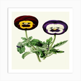 Pansies (1852 1861) Art Print