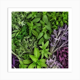 Fresh Herbs 5 Art Print