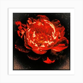 Red Peony Art Print