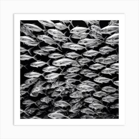 School Of Fish 2 Art Print