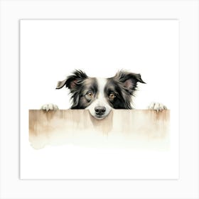 Border Collie 5 Art Print