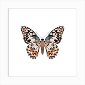 Mariposa Butterfly Square Art Print