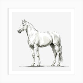 White Horse On Black Background Art Print