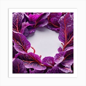 Purple Cabbage Leaves On White Background Art Print