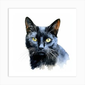 California Spangled Black Cat Portrait 3 Art Print