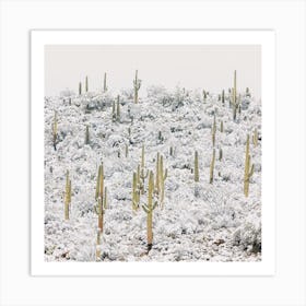 Snow Covered Cactus Hill Art Print