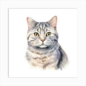 American Shorthair Cat Portrait 2 Art Print