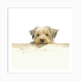 Yorkshire Terrier 14 Art Print