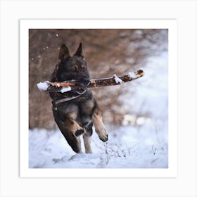 German Shepherd Dog In The Snow Art Print