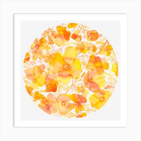 Golden Poppies Art Print