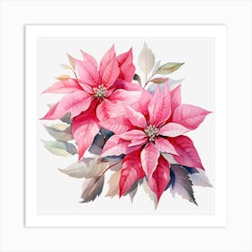 Poinsettia Flowers Art Print