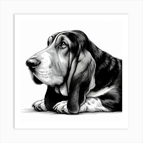 Basset hound dog 1 Art Print