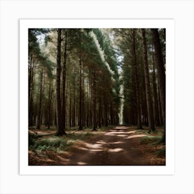 Forest Art Print