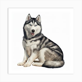 Siberian Husky 4 Art Print