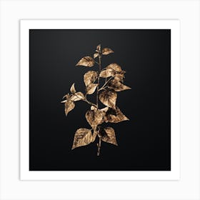 Gold Botanical Black Birch on Wrought Iron Black n.0112 Art Print