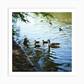 Family Of Geese In The Pond Art Print