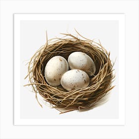 Bird'S Nest Art Print