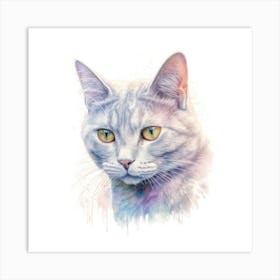 Australian Mist Shorthair Cat Portrait 2 Art Print