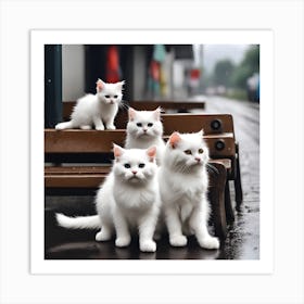 White Cats On A Bench Art Print