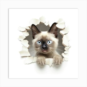 Siamese Cat 3 Art Print