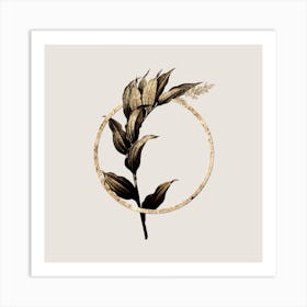 Gold Ring Treacleberry Glitter Botanical Illustration n.0256 Art Print