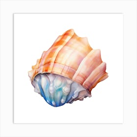 Sea Shell Isolated On White Background 2 Art Print