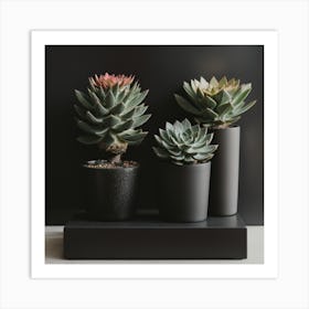 Three Succulents On A Black Stand Art Print