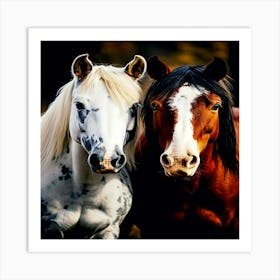 Two Horses, horses picture Art Print