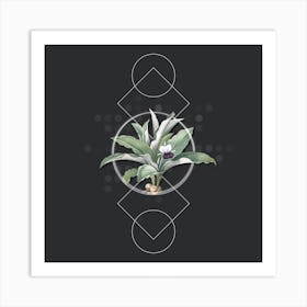 Vintage Kaempferia Angustifolia Botanical with Geometric Line Motif and Dot Pattern n.0168 Art Print