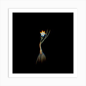 Prism Shift Snowdon Lily Botanical Illustration on Black n.0124 Art Print