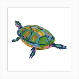 Painted Turtle 06 Art Print