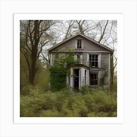 Abandoned House Art Print