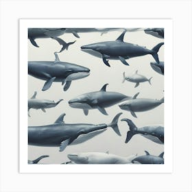 Whales Art Print