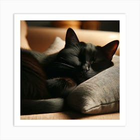 Black Cat Sleeping On A Pillow Art Print