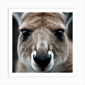 A Close Up Of A Majestic Kangaroo, Capturing Its Intense Gaze And Powerful Presence Art Print