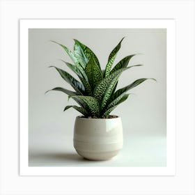 Realistic snake plant potted Art Print