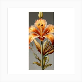 Orange Lily Art Print