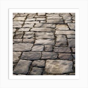 Cobblestone Road 8 Art Print