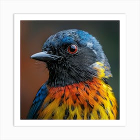 Colorful Bird 14 Art Print