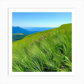 Wildflowers On A Hillside Art Print